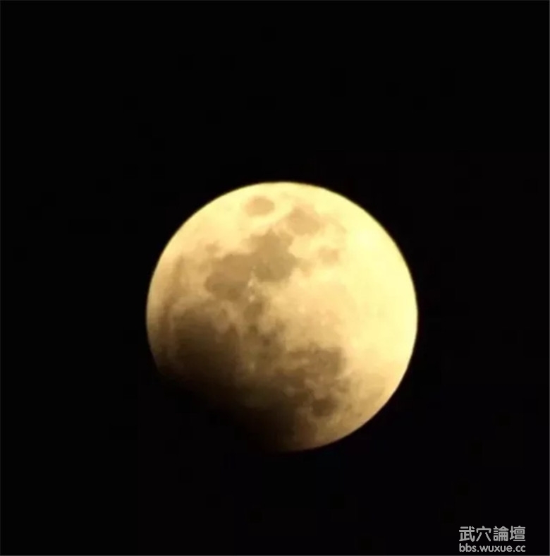 561350862327118704.jpg