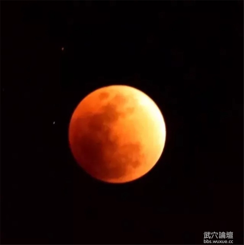 907738066131617697.jpg