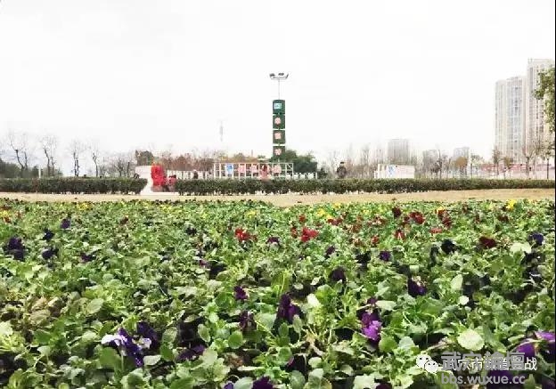 ΢��ͼƬ_20190206091709.jpg
