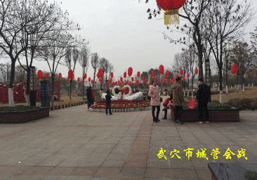 ΢��ͼƬ_20190206091719.gif
