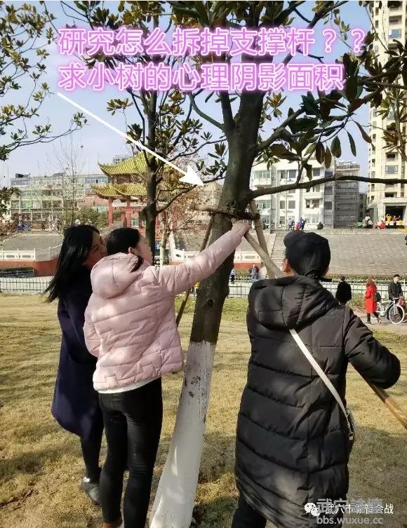 ΢��ͼƬ_20190208210916.jpg