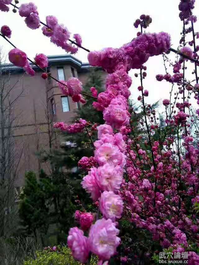 ΢��ͼƬ_20190226062839.jpg