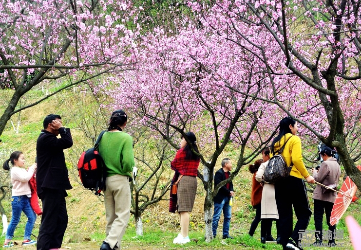 DSC_0250[2].jpg