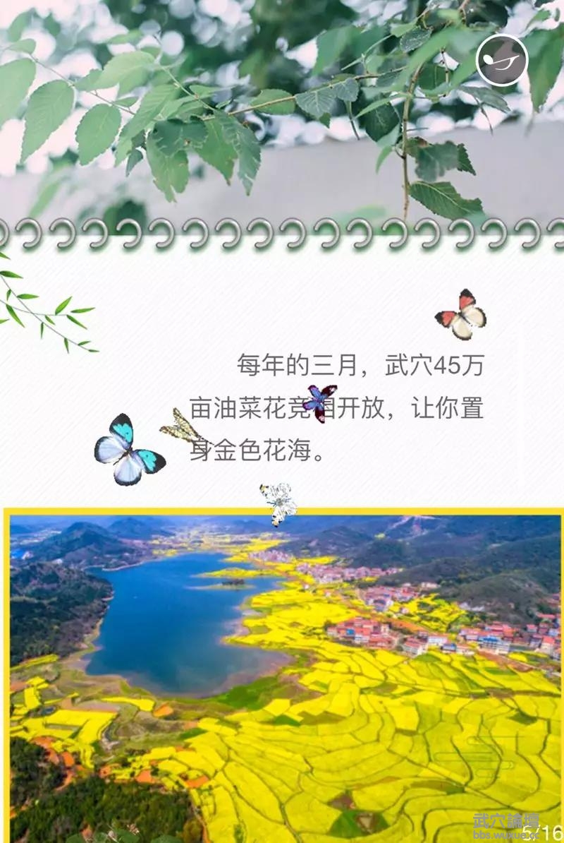 ΢��ͼƬ_20190317072322.jpg