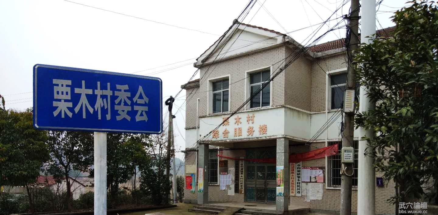 �������������顢�����ɷ�ϵ�б���֮����ľ��