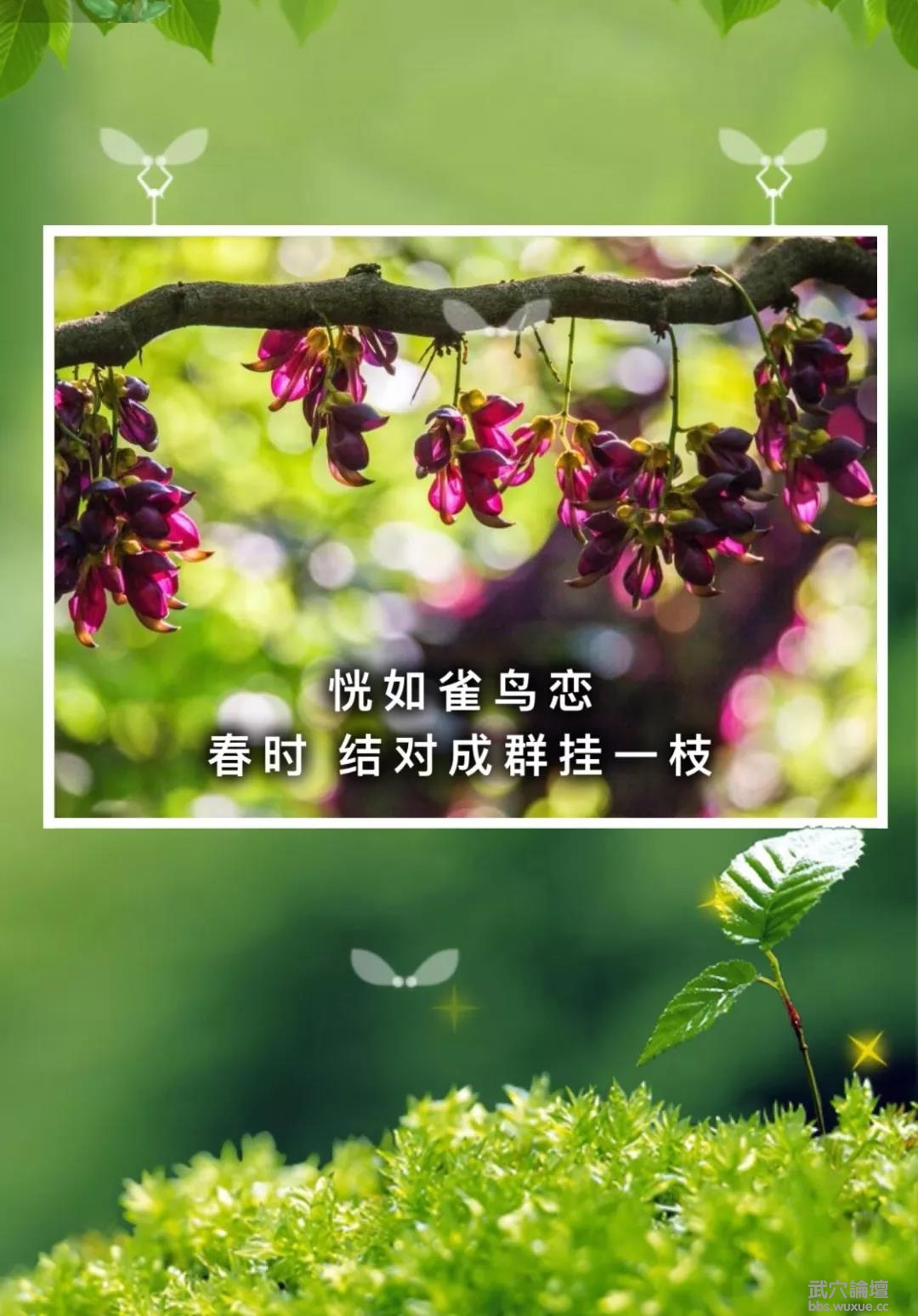 ΢��ͼƬ_20190501064740.jpg