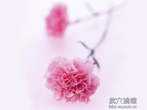 u=3736627471,1810207915&amp;fm=26&amp;gp=0.jpg