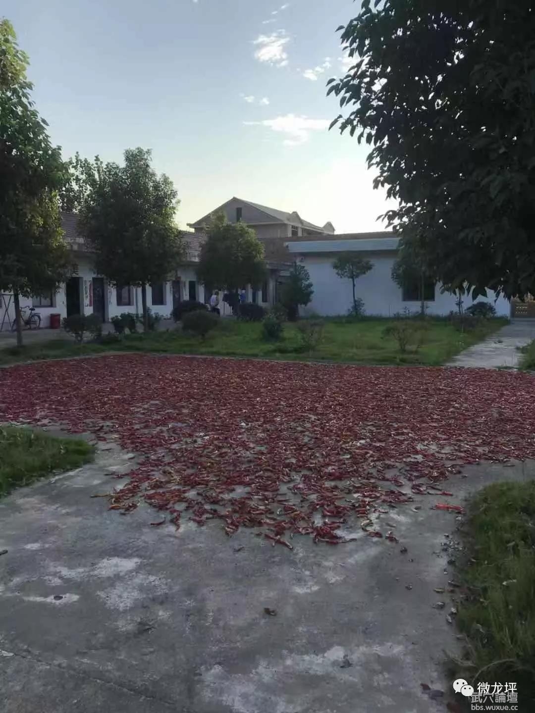 ΢��ͼƬ_20190731080610.jpg