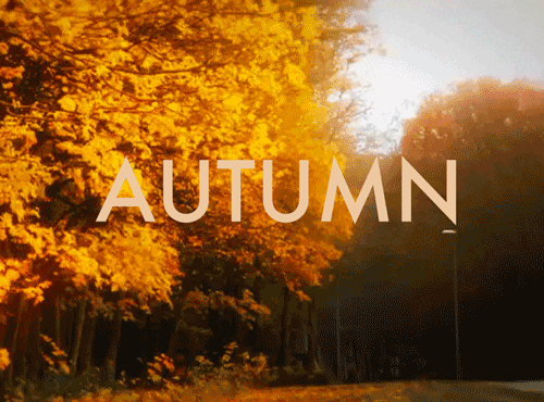 ΢��ͼƬ_20190923085920.gif