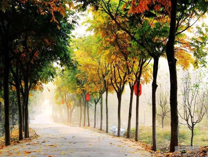 ΢��ͼƬ_20190923085939.jpg