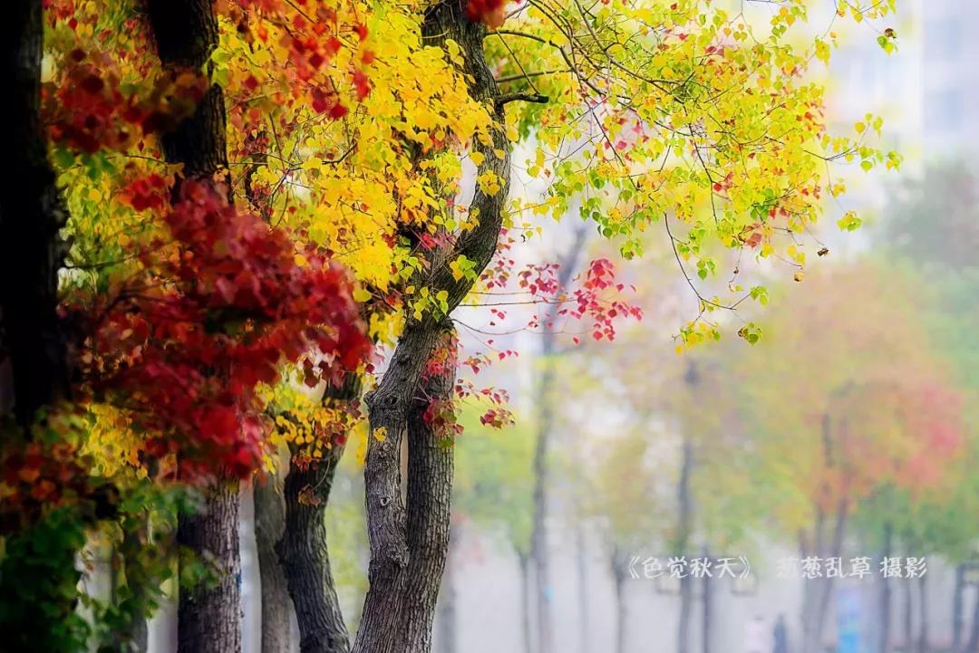΢��ͼƬ_20190923090029.jpg