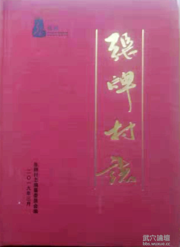 ������ʷ������������÷�������ƴ�־��2019�������