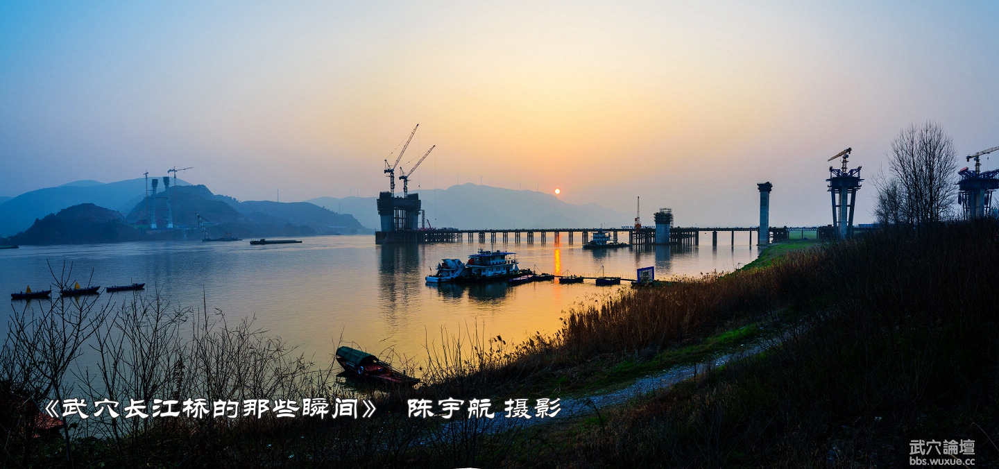 20190303a.jpg