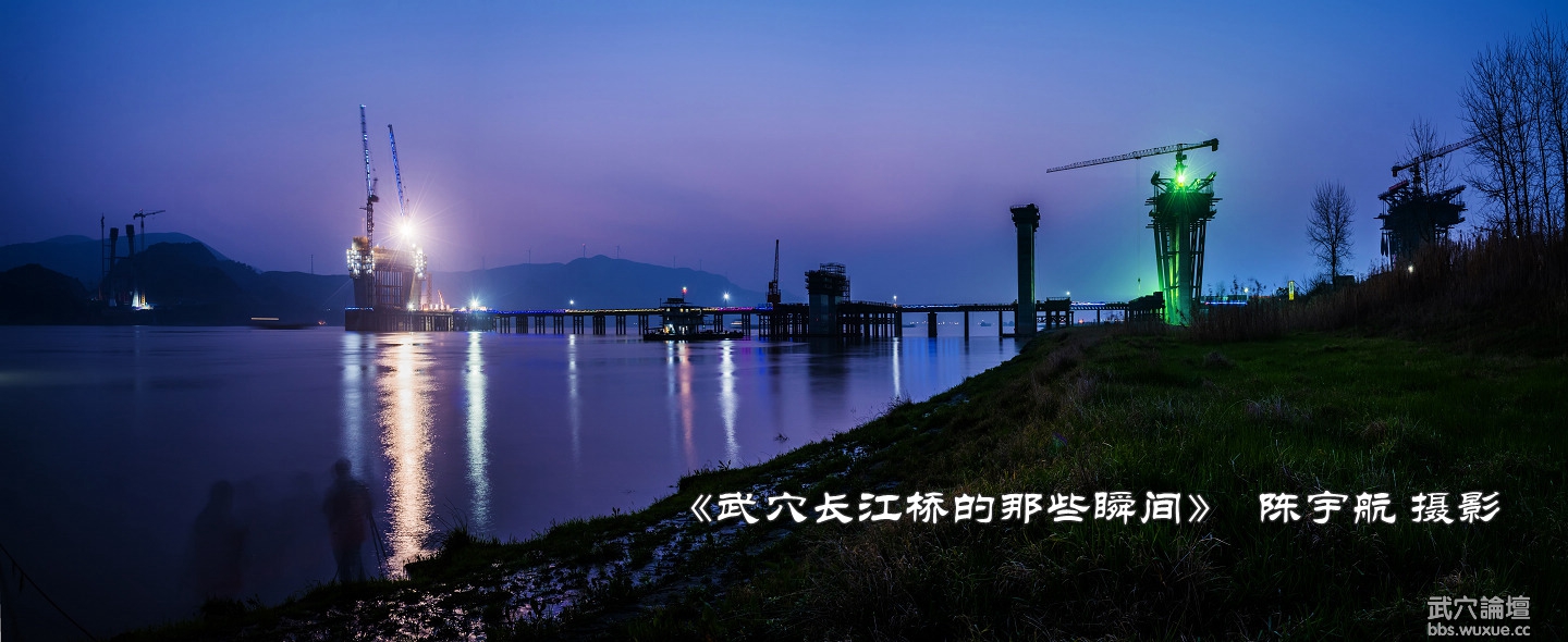 20190303b.jpg