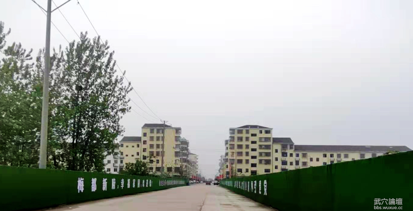   �������죬������г��÷����÷���¸����С���仯���