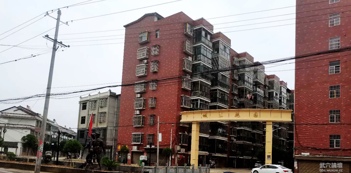 ÷��ɣ��԰�̳���С����