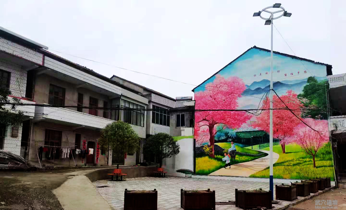 ÷��ɣ��԰�̳���С����