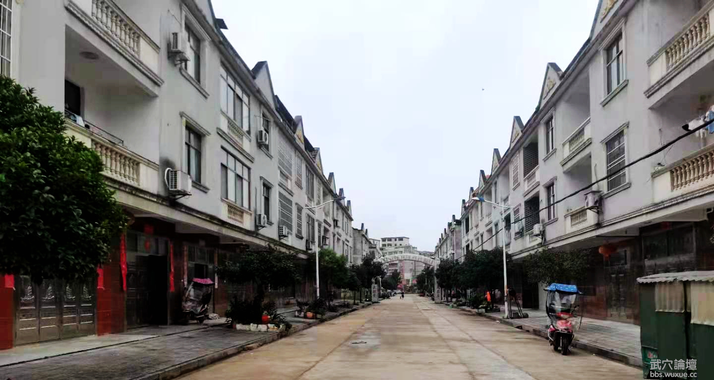 ÷��ɣ��԰�̳���С����