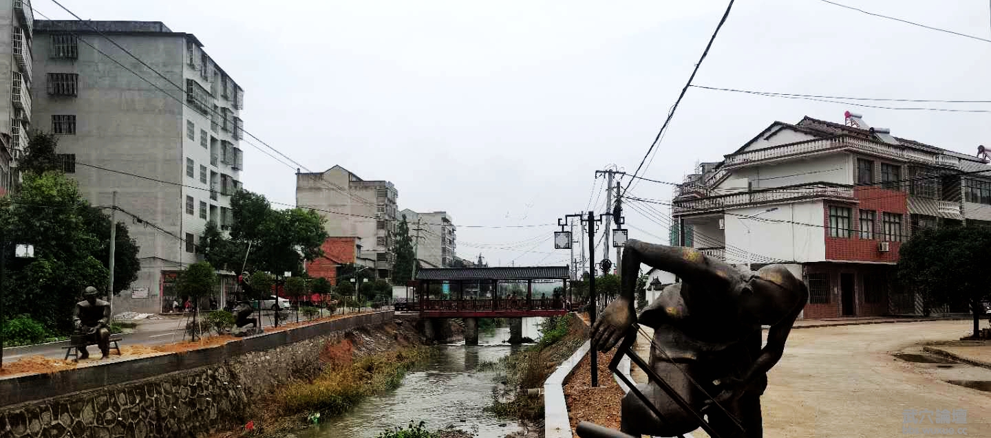 ÷��ɣ��԰�̳���С����