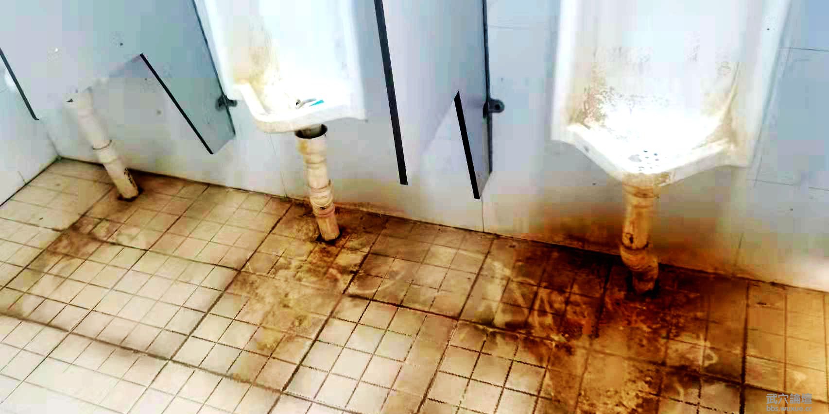 ÷��������Щ��������״�����˿��ǣ�